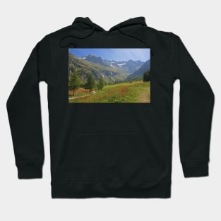 Vanoise National Park Hoodie